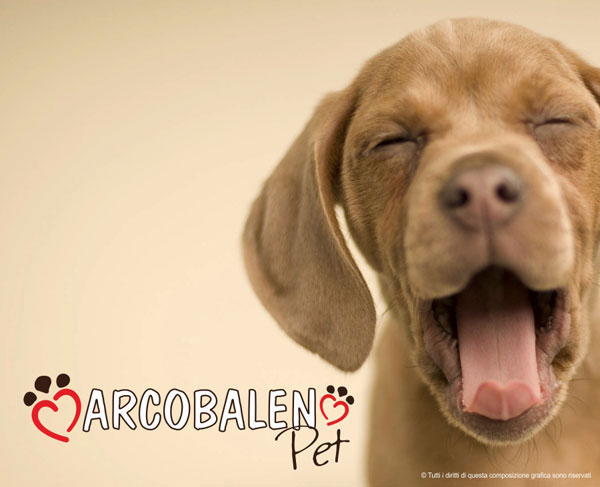 kikom studio grafico foligno perugia umbria arcobaleno pet